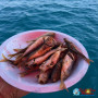 3-часовая Индивидуальная Морская рыбалка | Морпорт Сочи