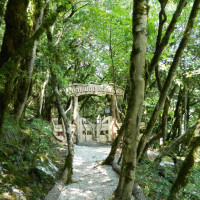 «Реликтовый лес» | Тисо-самшитовая роща | Гора Ахун | Обзорная экскурсия | Сочи