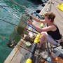 Аренда снастей для рыбалки с пирса в  Сочи